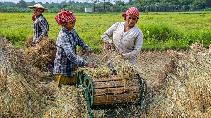 punjabi govt big announcement for labourers they will get 10 percent compensation if crops are damaged Punjab News: ਪੰਜਾਬ ਦੇ ਮਜ਼ਦੂਰਾਂ ਨੂੰ 1 ਮਈ ਤੋਂ ਵੱਡਾ ਤੋਹਫਾ, ਕਿਸਾਨਾਂ ਦੀ ਫਸਲ ਖਰਾਬ ਹੋਣ 'ਤੇ ਮਜ਼ਦੂਰਾਂ ਨੂੰ ਵੀ ਮਿਲੇਗਾ 10 ਫੀਸਦੀ ਮੁਆਵਜ਼ਾ