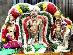 பக்தர்களை வெகுவாக கவர்ந்த பரிமளரெங்கநாதர் ஆலய புஷ்ப பல்லக்கு - பக்தர்கள் வழிபாடு