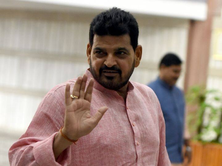 Brij Bhushan Singh Interview: ...म्हणून मी राजीनामा देत नाही; कुस्तीपटूंकडून होणाऱ्या आरोपांवर ब्रिजभूषण स्पष्टचं बोलले Brij Bhushan Sharan Singh interview what wfi chief says on wresters allegations protest at Delhi jantar mantar Brij Bhushan Singh Interview: ...म्हणून मी राजीनामा देत नाही; कुस्तीपटूंकडून होणाऱ्या आरोपांवर ब्रिजभूषण स्पष्टचं बोलले