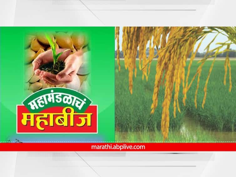 Maharashtra seed corporation Mahabeej Mahamandal foundation day know about farmers corporation Mahabeej:  शेतकऱ्यांचं महामंडळ असलेल्या 'महाबीज'चा आज स्थापना दिन; तुम्हाला या गोष्टी माहीत आहे का?