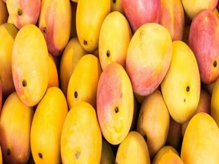 Kerala Police Dismiss Cop For Stealing Mangoes know more details in tamil சங்கடத்தை ஏற்படுத்திய காவல்துறை அதிகாரி..மாங்காயை திருடி மாட்டிக்கொண்டதால் பணிநீக்கம்.. எப்படி தெரியுமா?