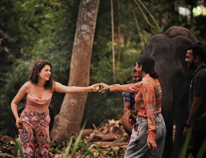 శ్రద్ధా దాస్ (Image credit: Instagram)