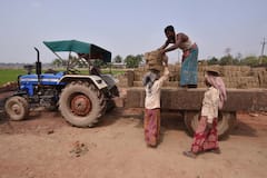 Workers' Memorial Day: কাজের জায়গায় শ্রমিকদের ন্যূনতম অধিকার কী কী? কেন পালিত হয় দিনটি?