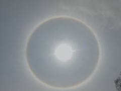 Watch: प्रयागराज में आसमान में दिखा अद्भुत नजारा, सूरज के चारों तरफ बनी चमकती रिंग, लोगों में कौतूहल