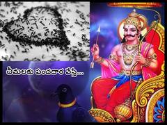 Shani Upay: శని ఉందని ఎలా తెలుస్తుంది, చీమలకుఆహారం వేస్తే శని బాధల నుంచి ఎందుకు విముక్తి కలుగుతుంది