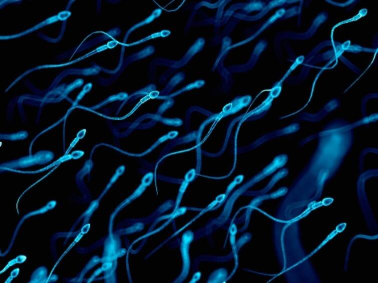 Man Who Fathered At least 550 Children Banned From Donating Sperm By Dutch Court Man Who Fathered At least 550 Children Banned From Donating Sperm By Dutch Court