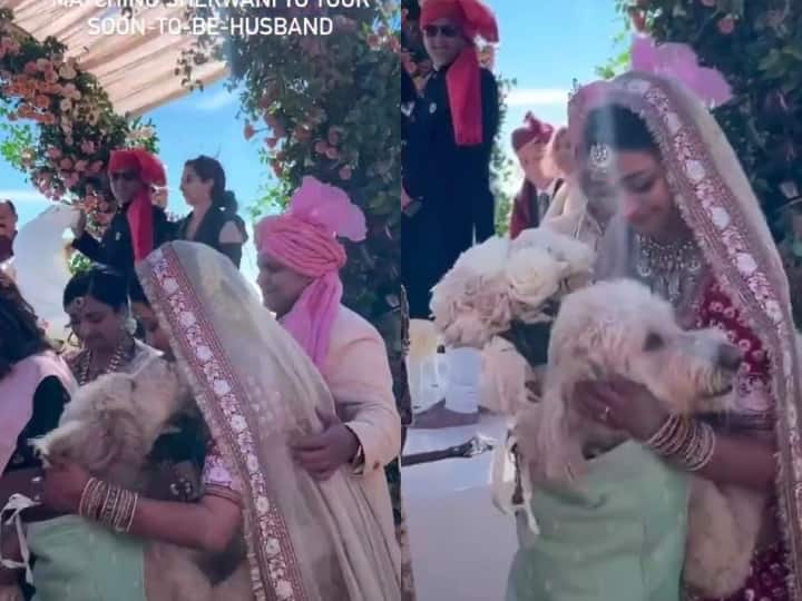 pet dog wearing sherwani hugging bride at vidayi ceremony viral video शेरवानी पहन पालतू कुत्ते ने दी दुल्हन को विदाई... Video में आप भी देखिए क्या था पूरा सीन
