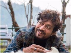 Irrfan Khan Death Anniversary: 'पान सिंह तोमर' से लेकर 'द लंच बॉक्स' तक, OTT पर देखें इरफान खान की दमदार एक्टिंग वाली फिल्में