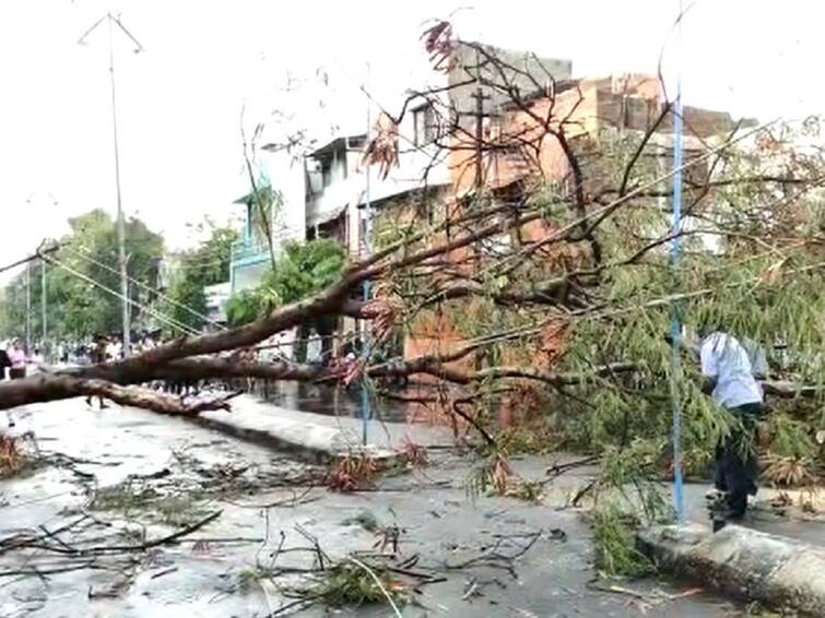 Maharashtra weather Unseasonal rain in Solapur district   Solapur Rain : सोलापूर जिल्ह्यात अवकाळीचा कहर, कुठे झाडे तर कुठे विजेचे खांब पडले; वाहतुकीवर परिणाम  