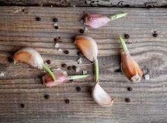 ਮਿੱਥ ਜਾਂ ਸੱਚਾਈ! ਕੀ ਲਸਣ, ਪਿਆਜ਼ ਤੇ ਕਾਲੀ ਮਿਰਚ ਖਾਣ ਵਾਲਿਆਂ ਨੂੰ ਨਹੀਂ ਕੱਟਦਾ ਮੱਛਰ? ਜਾਣੋ ਕੀ ਕਹਿੰਦੇ ਮਾਹਰ