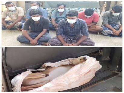 Crime: 7 people arrested for hunting deer with gun Crime: துப்பாக்கியால் மானை சுட்டு வேட்டையாடிய 7 பேர் கைது..! நெல்லையில் பரபரப்பு..!