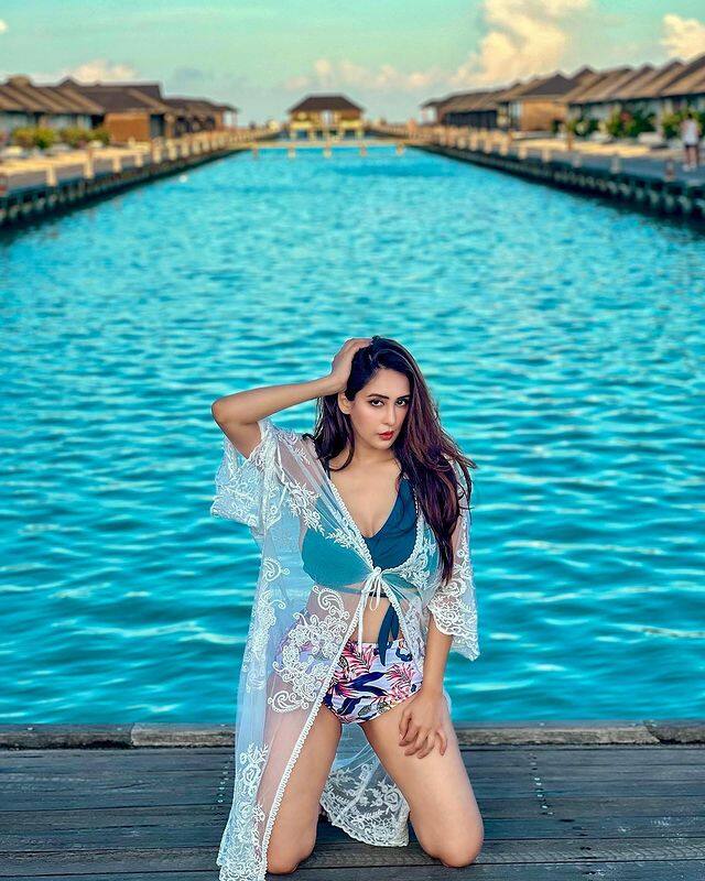 વર્ષ 2002 માં, તેણે તેની ટેલિવિઝન કારકિર્દીની શરૂઆત સિરિયલ સચ્ચી બાત સભી જગ જાનેથી કરી હતી.