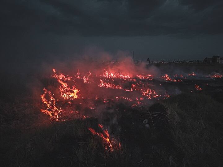 Stubble Burning: पराली जलाने वालों की खैर नहीं… अब लगेगा इतना ज्यादा जुर्माना