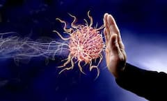 Immunity: রোগভোগ লেগেই রয়েছে! মাল্টিভিটামিন নয়, প্রতিরোধ গড়ে তুলুন স্বাভাবিক নিয়মেই