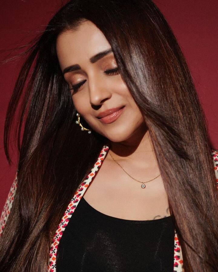 పొన్నియన్ సెల్వన్ సినిమాతో తిరిగి స్టార్ డమ్ సంపాదించుకుంది.