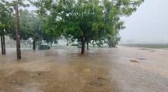 Unseasonal Rain: ભાવનગર અને અમરેલી જિલ્લામાં કમોસમી વરસાદ, અનેક સ્થળે વૃક્ષો ધરાશાયી, રસ્તાઓ પર પાણી ભરાયા