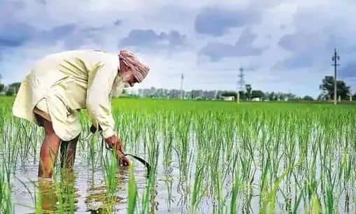 ਆਧਾਰ ਨੰਬਰ ਅਤੇ ਕੈਪਚਾ ਦਰਜ ਕਰਨਾ ਹੋਵੇਗਾ। ਸਰਚ ਆਪਸ਼ਨ ਆਵੇਗਾ। ਸਰਚ 'ਤੇ ਕਲਿੱਕ ਕਰਨ ਤੋਂ ਬਾਅਦ ਆਧਾਰ ਨਾਲ ਲਿੰਕ ਕੀਤੇ ਮੋਬਾਈਲ ਨੰਬਰ ਨੂੰ ਐਂਟਰ ਕਰਨਾ ਹੋਵੇਗਾ। ਕੁਝ ਹੀ ਦੇਰ ਵਿੱਚ ਲਿੰਕ ਕੀਤੇ ਮੋਬਾਈਲ ਨੰਬਰ 'ਤੇ ਇੱਕ OTP ਆਵੇਗਾ। ਇਸ ਨੂੰ ਸਕਰੀਨ 'ਤੇ ਦਿੱਤੇ ਗਏ ਵਿਕਲਪ ਵਿੱਚ ਭਰੋ। ਈ-ਕੇਵਾਈਸੀ ਪ੍ਰਕਿਰਿਆ ਪੂਰੀ ਹੋ ਜਾਵੇਗੀ।