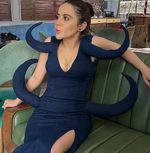 ਉਸ ਨੂੰ ਭਾਵੇਂ ਬਾਲੀਵੁੱਡ ਵਿੱਚ ਅਜੇ ਤੱਕ ਕੋਈ ਵੱਡਾ ਮੌਕਾ ਨਾ ਮਿਲਿਆ ਹੋਵੇ, ਪਰ ਉਹ ਟੈਲੀਵਿਜ਼ਨ 'ਤੇ ਕਾਫੀ ਦਿਖਾਈ ਦਿੱਤੀ ਹੈ। ਉਸਨੇ ਕੁਝ ਟੀਵੀ ਸੀਰੀਅਲਾਂ ਵਿੱਚ ਕੰਮ ਕੀਤਾ, ਪਰ ਉਸਨੂੰ ਅਸਲੀ ਪਬਲੀਸਿਟੀ ਬਿੱਗ ਬੌਸ ਓਟੀਟੀ ਤੋਂ ਮਿਲੀ।