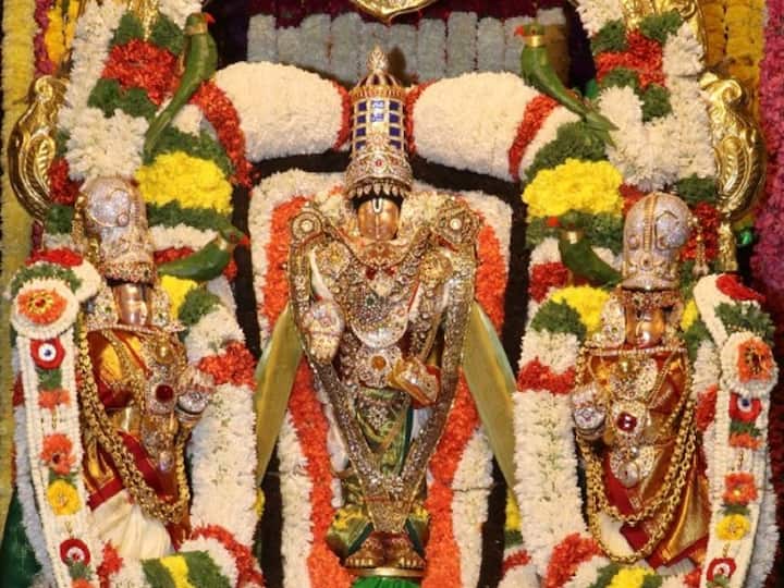 Tirumala News Padmavati Parinayotsavam Will Be Held For Three Days From Today in Tirumala Tirumala News: తిరుమలలో నేటి నుంచి మూడ్రోజుల పాటు పద్మావతి పరిణయోత్సవాలు