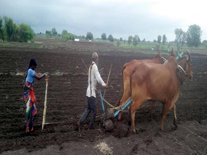 Maharashtra News Nanded News Keeping in view the availability of rainwater planning of sowing only after June 1 is beneficial Nanded: पाऊस-पाण्याची उपलब्धता लक्षात घेऊन 1 जून नंतरच पेरणीचे नियोजन हिताचे;  प्रशासनाचे आवाहन