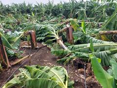 Solapur Rain : सोलापुरात अवकाळी पावसाचा धुमाकूळ!