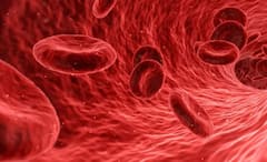 Immunity: রোগভোগ লেগেই রয়েছে! মাল্টিভিটামিন নয়, প্রতিরোধ গড়ে তুলুন স্বাভাবিক নিয়মেই