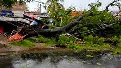 এক ঘণ্টার ঝড়ে তছনছ নদীয়ার বিস্তৃত এলাকা, বজ্রপাতে মৃত ২
