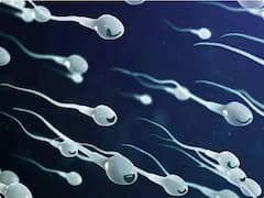 దానం చేసింది చాలు నాయనా, ఇక ఆపేయ్ - స్పెర్మ్ డోనర్‌పై కోర్టు సీరియస్