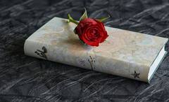 Zodiac Signs: চারপাশের সবকিছুই মনে হয় সুন্দর, প্রেমে পড়লে কবিতার খাতা ভরিয়ে দেন এঁরা