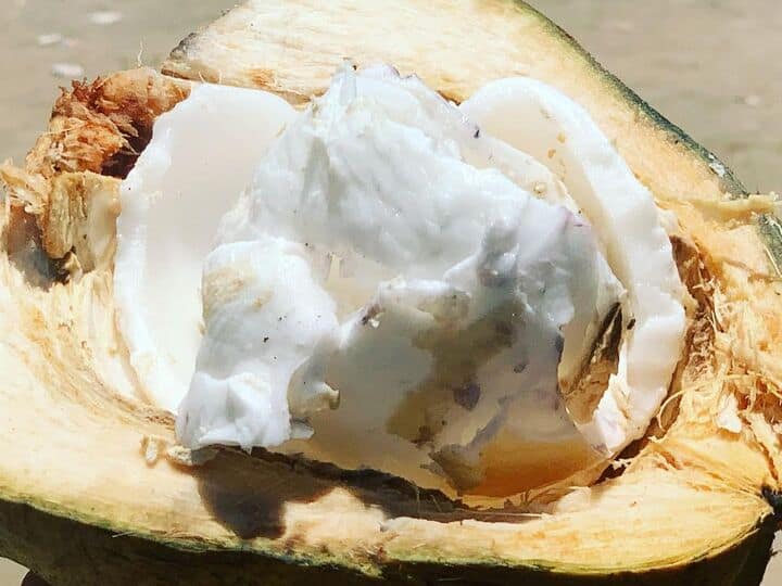 use coconut malai to get rid of dry skin in summer इस सफेद चीज को लगाने से गर्मियों में आपकी स्किन हमेशा रहेगी हाइड्रेट...ऐसे करें इस्तेमाल