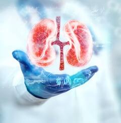 Kidney Donation: ਕੀ ਇੱਕ ਕਿਡਨੀ 'ਤੇ ਵੀ ਜ਼ਿੰਦਾ ਰਹਿ ਸਕਦਾ ਹੈ ਇਨਸਾਨ, ਜਾਣੋ ਕਿਵੇਂ?