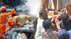 Bhiwandi building collapse : NDRF డాగ్ స్క్వాడ్ సాయంతో నిలిచిన పసిప్రాణం | ABP Desam