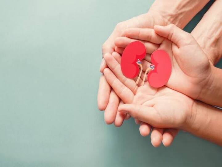 Kidney Donation: क्या एक किडनी पर भी जिंदा रह सकता है इंसान, जानें कैसे