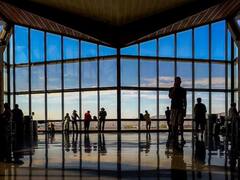 प्लेन में जूस ले जाने से मना किया तो लड़की ने अधिकारी को काटा, कोहनी से मारकर किया घायल