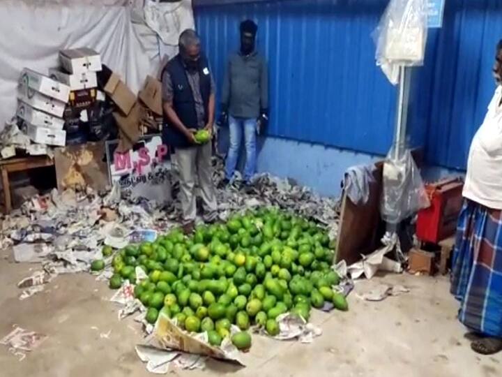 Dindigul: 400 kg of mangoes ripened with chemicals seized Dindigul: வேதியியல் பொருள் மூலம் பழுக்க வைக்கப்பட்ட பழங்கள்... பறிமுதல் செய்யப்பட்ட 400 கிலோ மாம்பழங்கள்..!