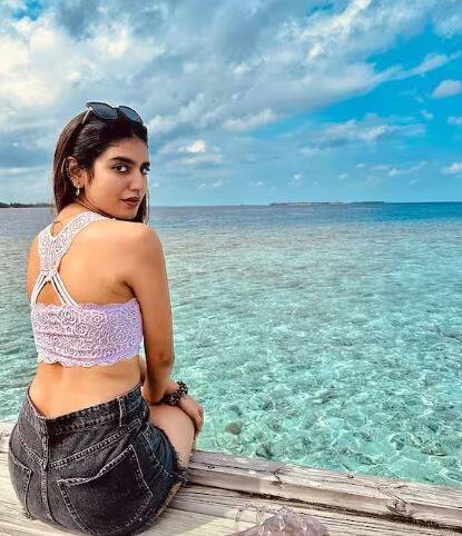 ਅਦਾਕਾਰਾ ਵੱਖ-ਵੱਖ ਲੁੱਕ 'ਚ ਆਪਣੀਆਂ ਤਸਵੀਰਾਂ ਪੋਸਟ ਕਰਦੀ ਰਹਿੰਦੀ ਹੈ। ਪਰੰਪਰਾਗਤ ਹੋਵੇ ਜਾਂ ਵੈਸਟਰਨ, ਪ੍ਰਿਆ ਹਰ ਲੁੱਕ 'ਚ ਸ਼ਾਨਦਾਰ ਲੱਗ ਰਹੀ ਹੈ।