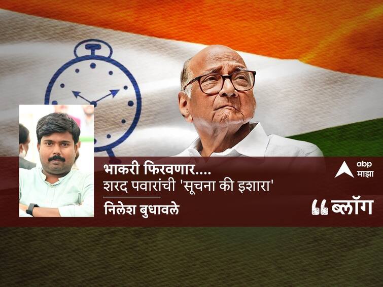 NCP Chief Sharad Pawar Statement on Maharashtra Government Ajit Pawar Blog By ABP Majha Reporter Nilesh Budhawale Sharad Pawar: भाकरी फिरवणार.... शरद पवारांची 