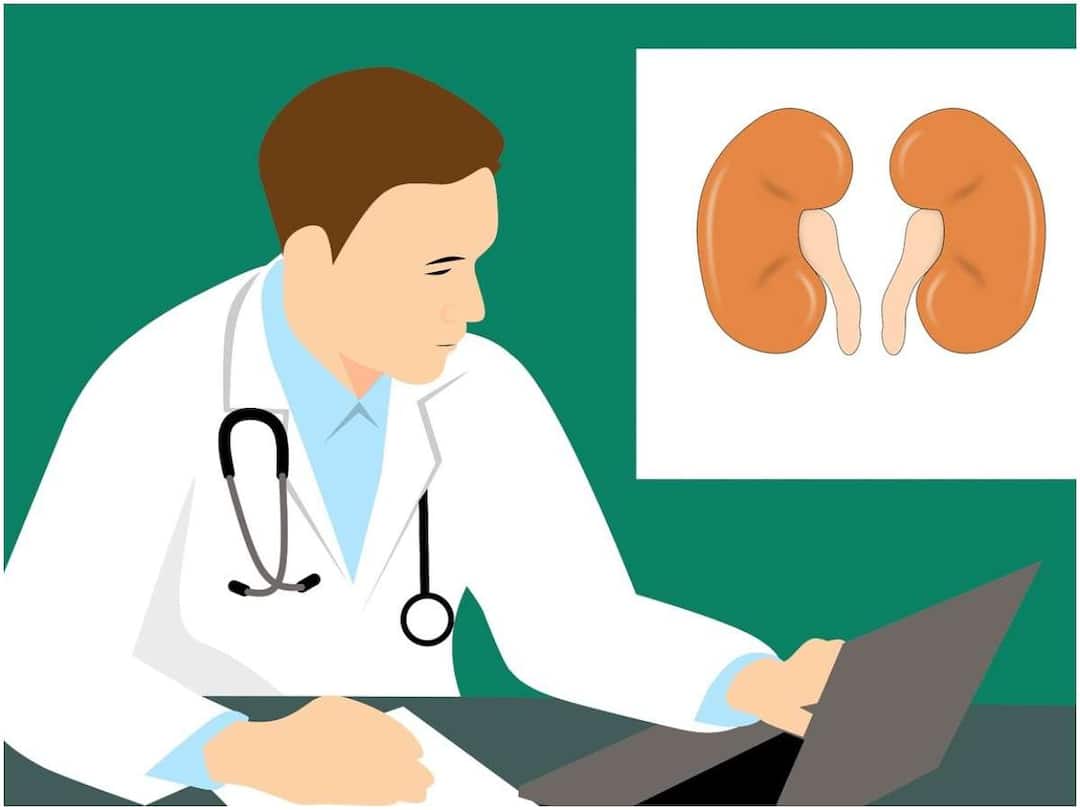 These are the first signs of kidney stones Kidney Stones: కిడ్నీలో రాళ్లు చేరితే మొదటగా కనిపించే సంకేతాలు ఇవే