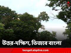 রবি-সোমে উত্তরে ভারী বৃষ্টি,  শিলাবৃষ্টি হতে পারে দক্ষিণ বঙ্গে, ছুটির সন্ধেয় ভিজবে কলকাতা