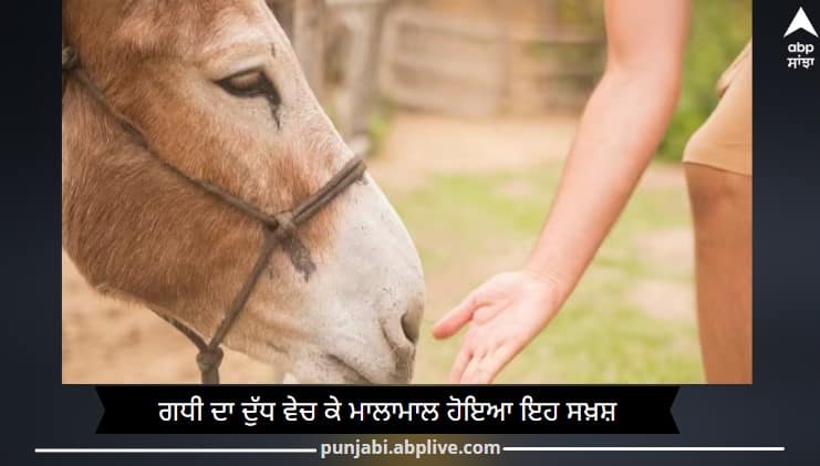 donkey-milk-business-babu-ulaganathan-is-doing-good-job-in-tamil-nadu Donkey Milk: 5550 ਰੁਪਏ ਲੀਟਰ ਗਧੀ ਦਾ ਦੁੱਧ ਵੇਚ ਰਿਹਾ ਹੈ ਇਹ ਸਖ਼ਸ਼ ਹੋਇਆ ਮਾਲਾਮਾਲ