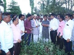 कृषिमंत्री सत्तार सलग दुसऱ्या दिवशीही शेतकऱ्यांच्या बांधावर; जालना जिल्ह्यातील नुकसानीची केली पाहणी