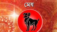 Weekly Astrology : মারাত্মক আর্থিক সমস্যা হতে পারে এই রাশির, সপ্তাহটা কেমন কাটবে আপনার ?