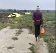 Rain : राज्यात अवकाळीचा कहर, शेती पिकांसह घरांचं मोठं नुकसान