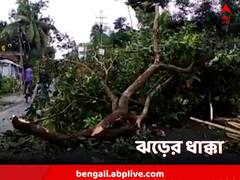 দুপুর গড়াতেই ঝড়, সঙ্গী শিলাবৃষ্টি, উল্টে পড়ল গাছ
