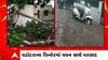 Vadodara : વડોદરાના શિનોરથી માલસર રોડ પર ભારે પવન અને વરસાદને લીધે વૃક્ષો ધરાશાયી