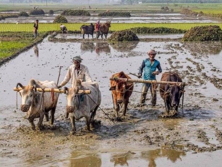 PM Kisan Yojana: प्रधानमंत्री किसान सम्मान निधि योजना की 14 वीं किस्त मई के महीने में आने की संभावना है, किसे मिलेगा लाभ यहां जानिए-