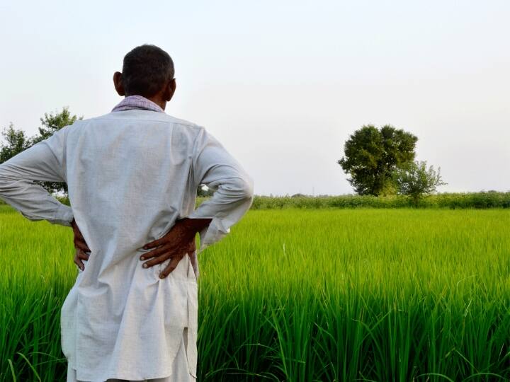 इस योजना के तहत सरकार सालाना 6000 रुपए छोटे और सीमांत किसान परिवारों को मुहैइया कराएगी. इसके तहत इन 6000 रुपयों को तीन इंस्टॉलमेंट के जरिए किसानों के खाते में सालभर में डाला जाता है.