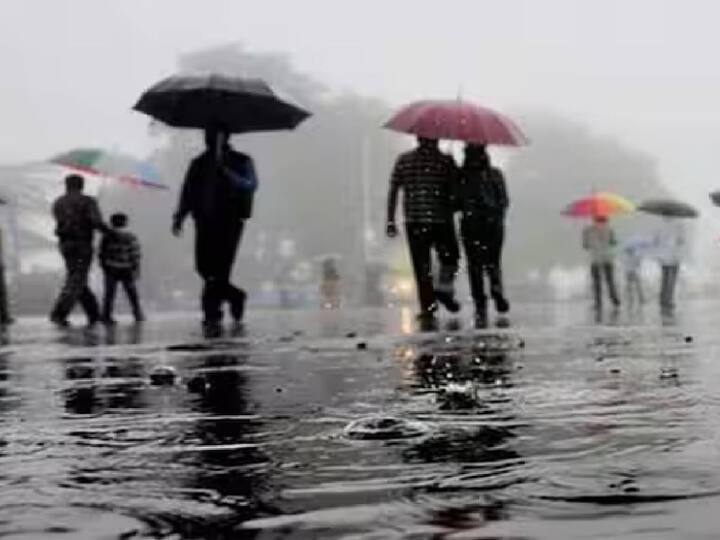 Tamil Nadu will receive heavy rain today and tomorrow, according to the Meteorological Department. TN Rain Alert: இன்றும் நாளையும் வெளுக்கப்போகும் மழை.. எந்தெந்த மாவட்டங்களுக்கு கனமழை எச்சரிக்கை.. இன்றைய வானிலை நிலவரம் இதோ..