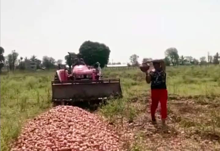 बाजारात त्या कांद्याला कोणी बोली लावेना..बोली लागली तर तीही कवडीमोल भावाची.