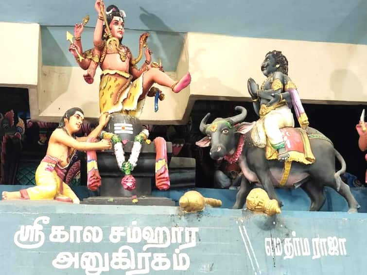 yeman Samharam program held at Thirukkadaiyur temple TNN எமனை காலால் எட்டி உதைத்த சிவபெருமான் - திருக்கடையூர் கோயில் ஐதீக நிகழ்வு